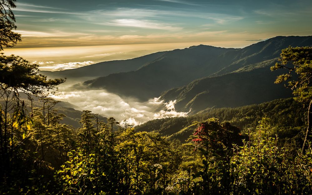 A glimpse from heaven.