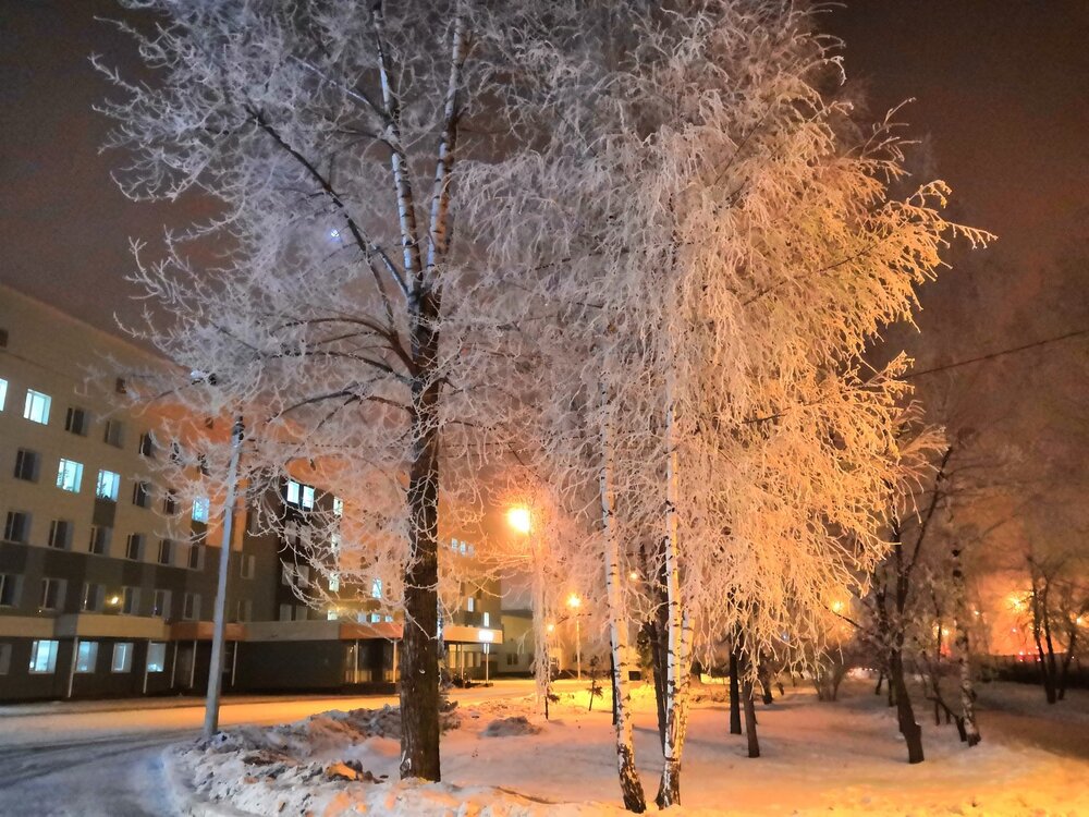 Зимняя ночь