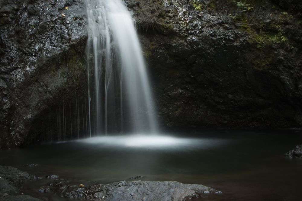 Gaze into the darkness