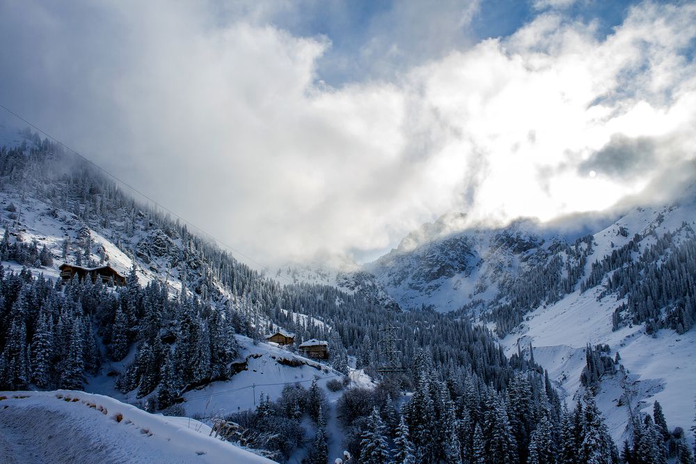 Photograph by Анастасия Легкодимова