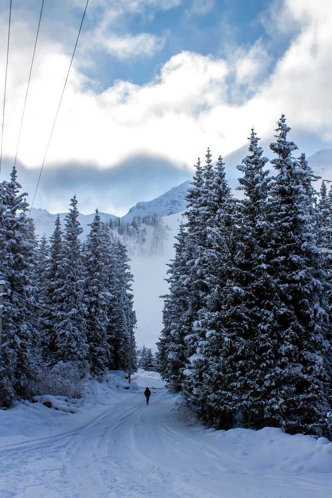 Photograph by Анастасия Легкодимова