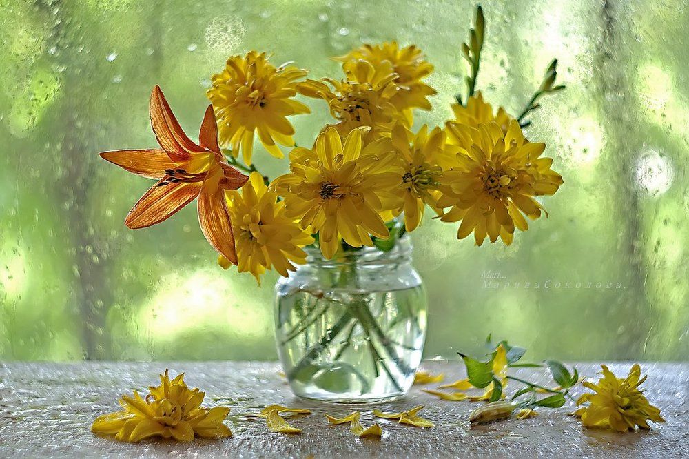 Золотые шары.