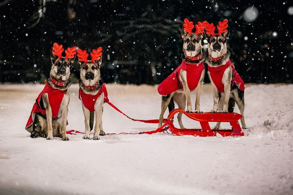 Помощники Деда Мороза