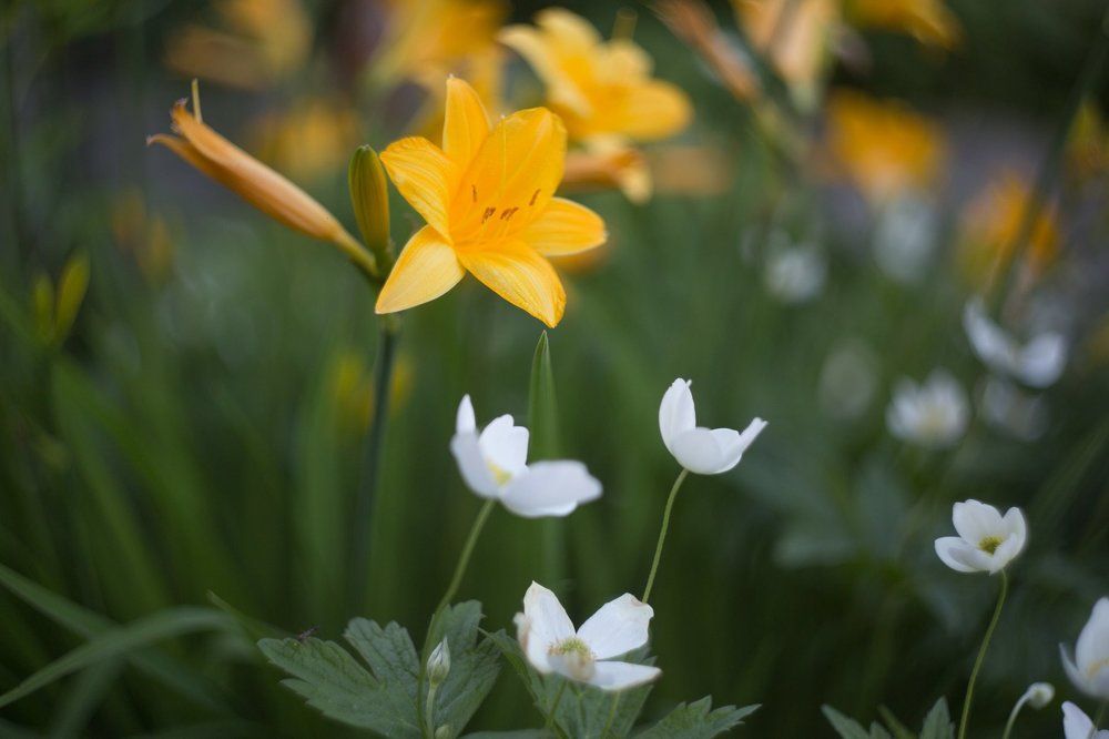 Photograph by Андрей Лекомцев