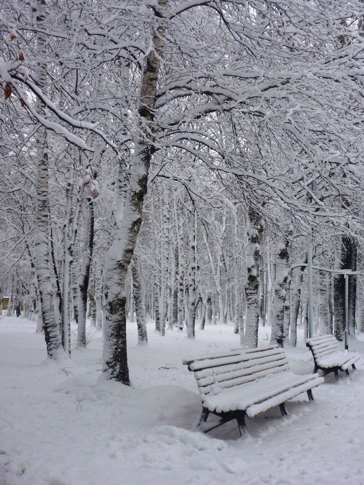 Зимний парк