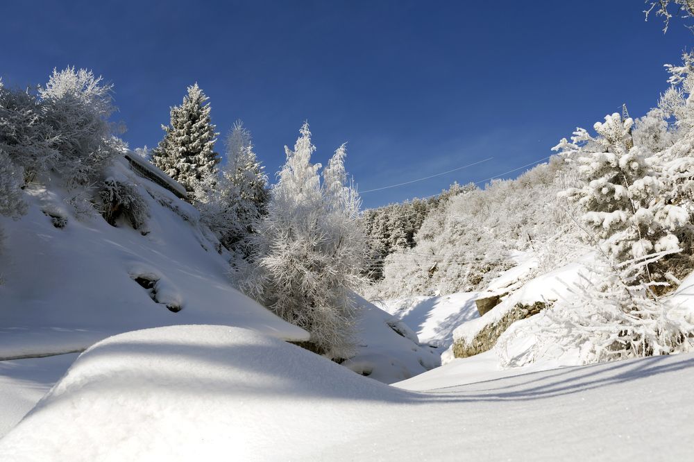 Утром после снегопада в Алматы