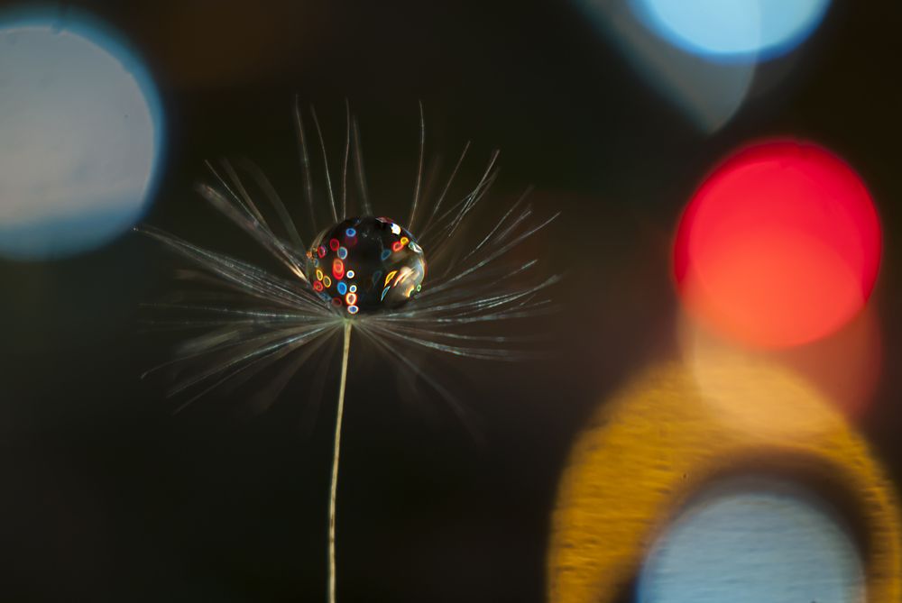 Скоро праздник!