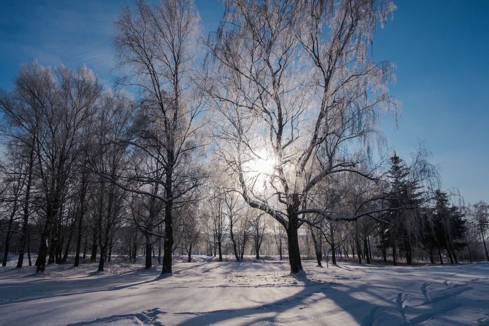вечерние  лучи