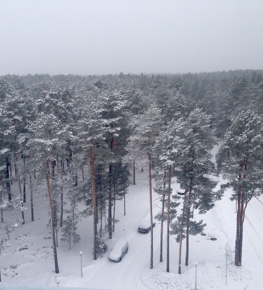 Посмотри в окно,там белым-бело.