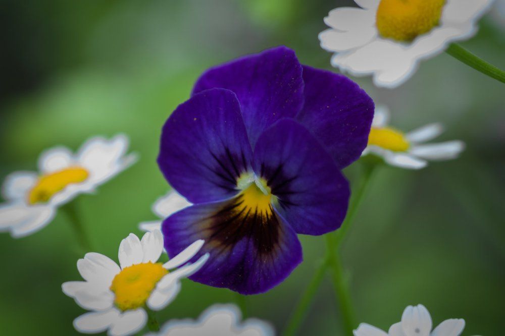 Photograph by Андрей Скобелев