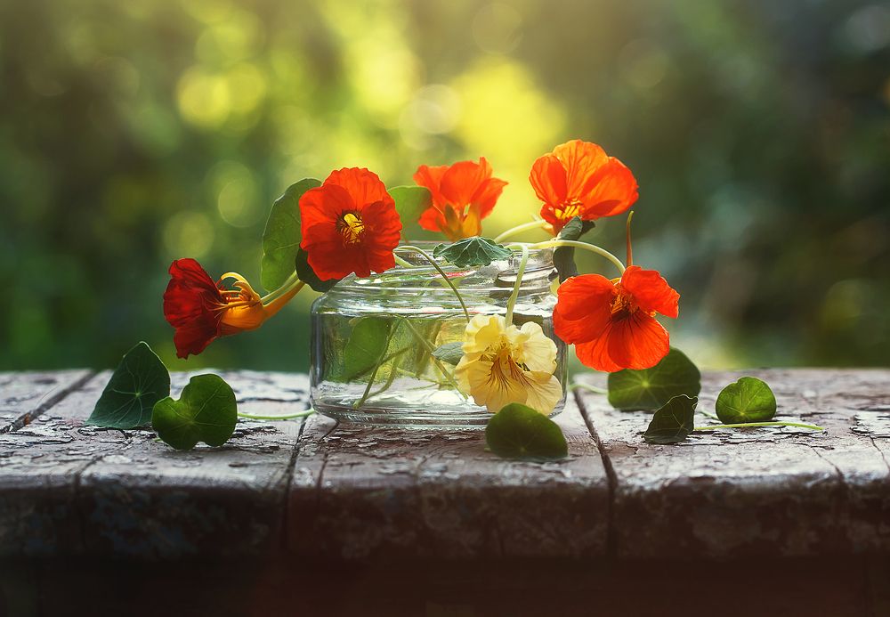 Летнее настроение