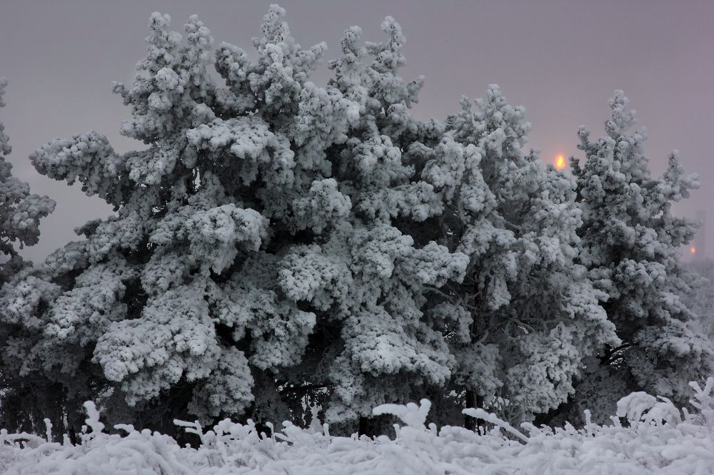 в зимних нарядах