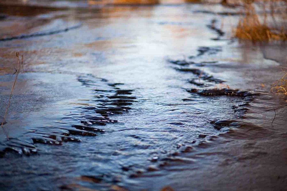 Photograph by Андрей Скобелев