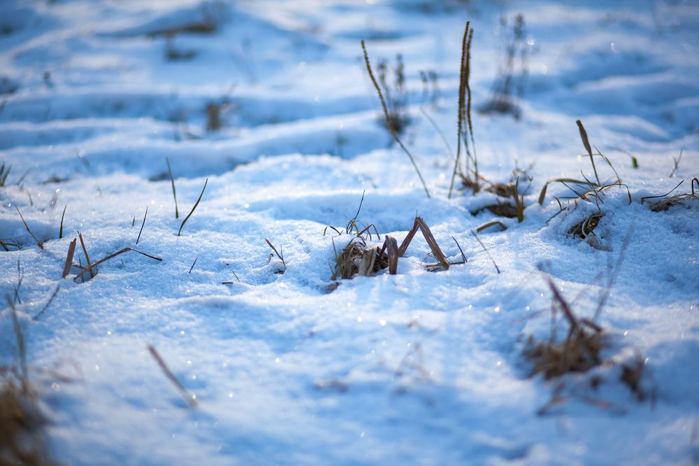 Photograph by Андрей Скобелев