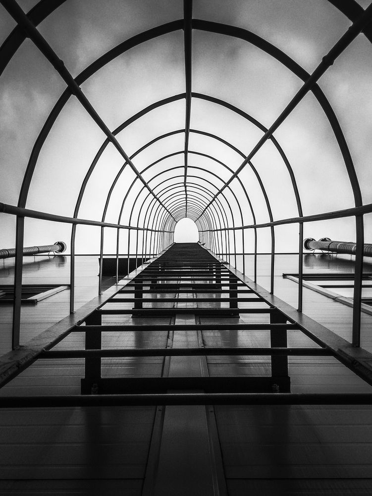 Лестница в небо /   Ladder into the sky