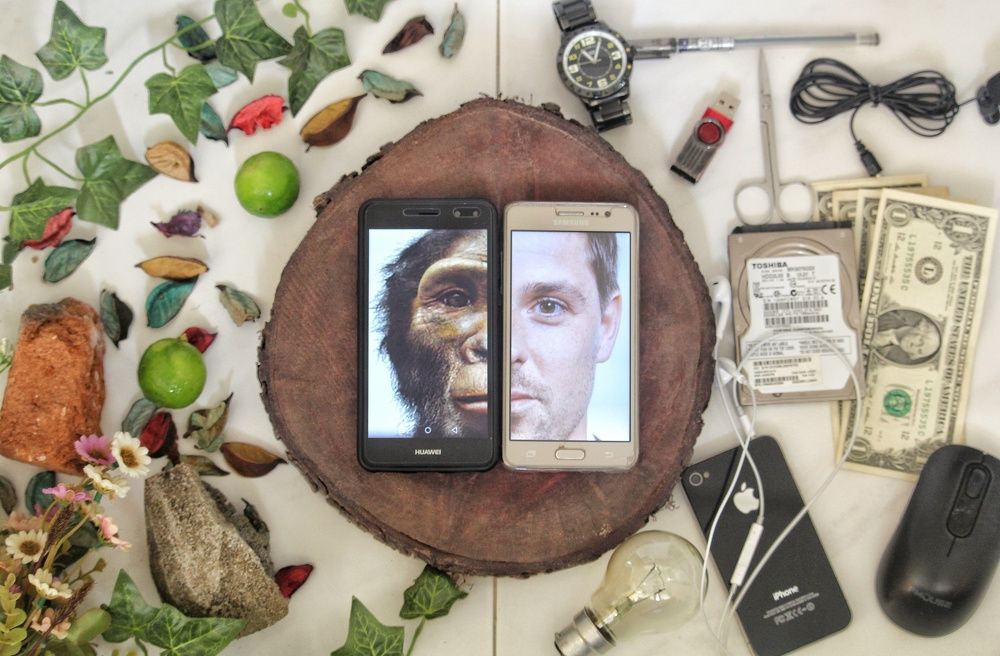 The Journey of Evolution