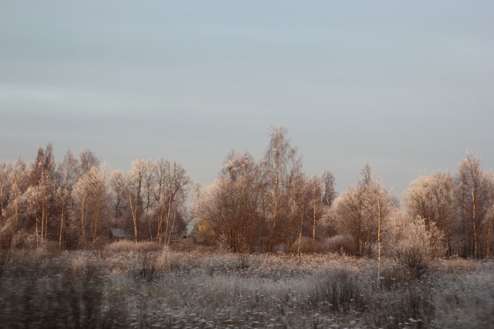 Уютная зима