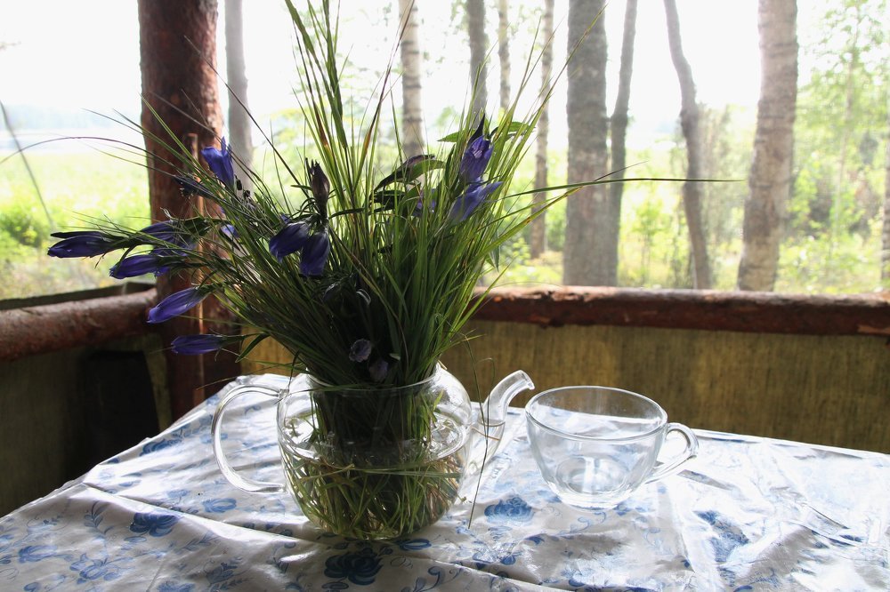 Photograph by Анастасия