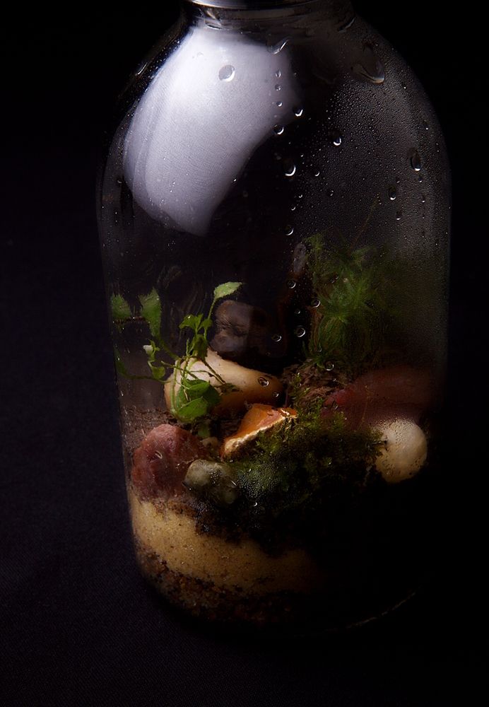 Микросад в бутылке