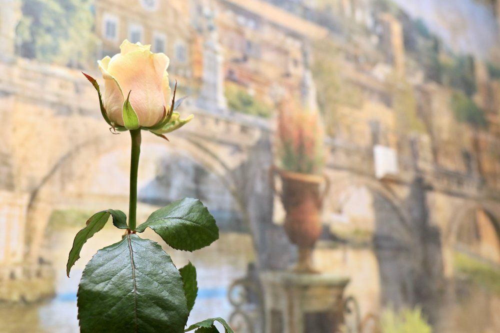 красивая и гордая