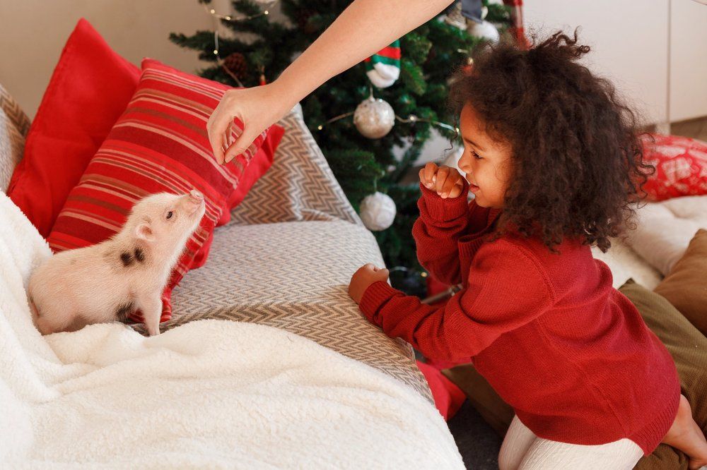 Юный дрессировщик