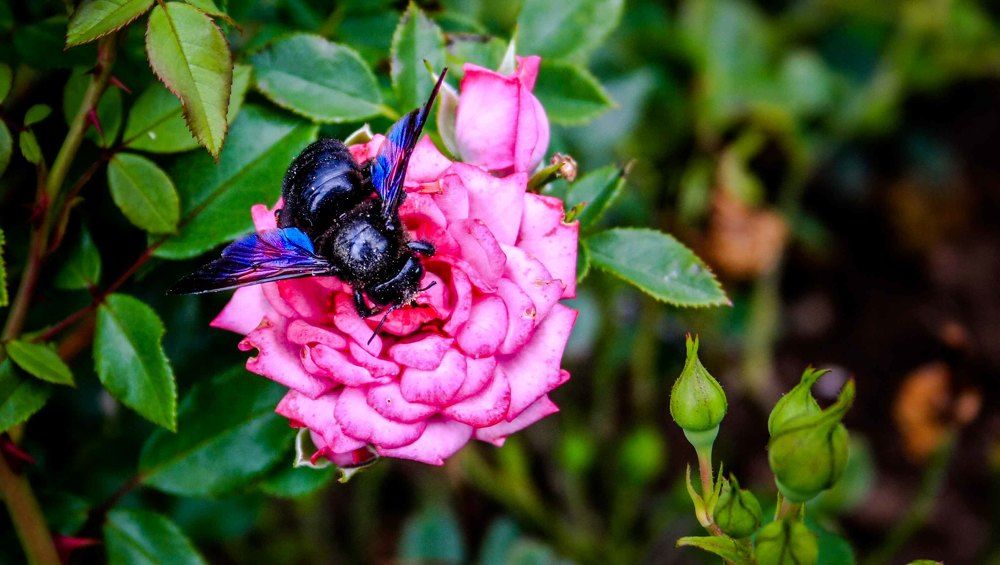 Photograph by Надежда