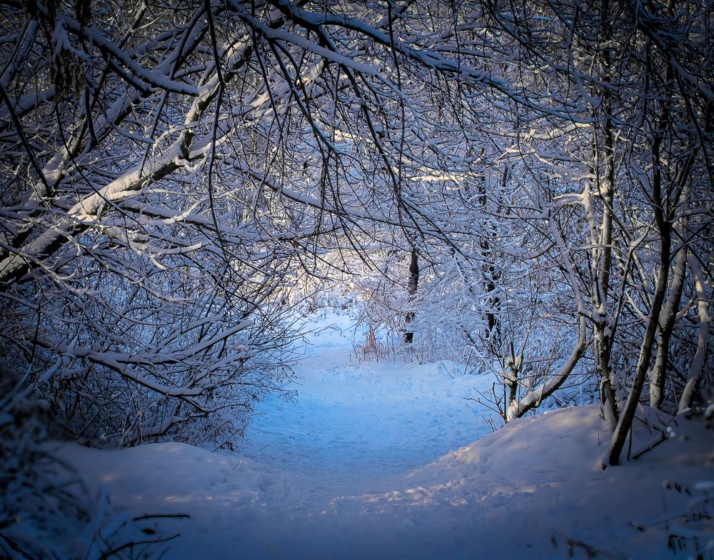 Тропинка в 2019 год