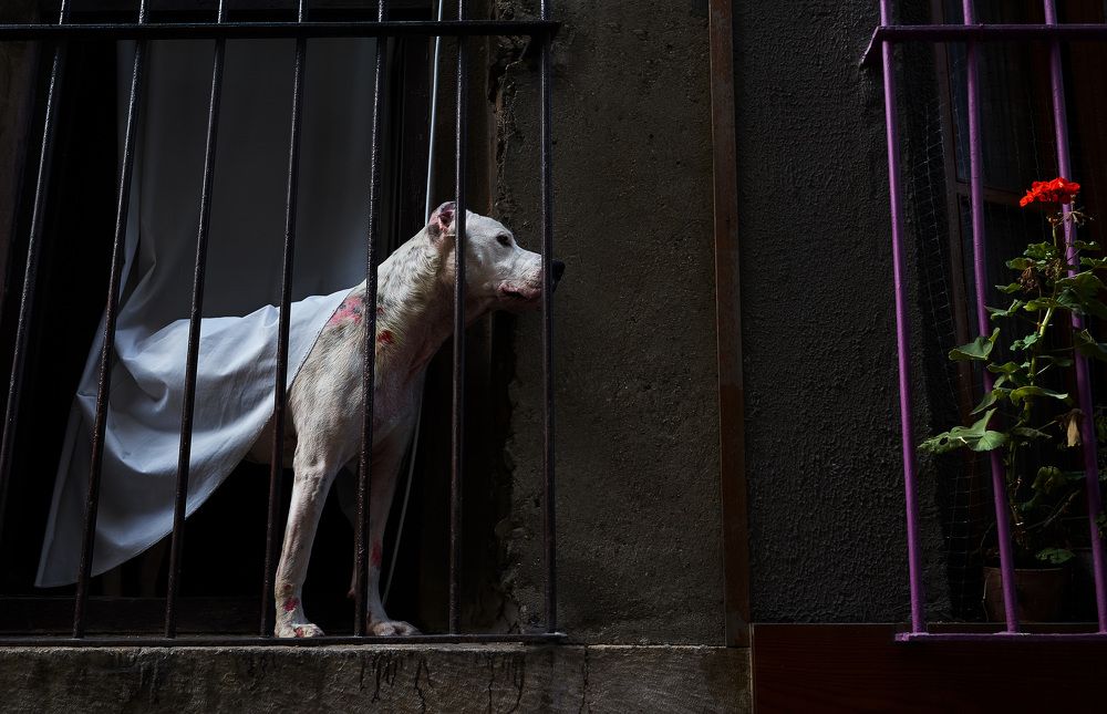 История Любви