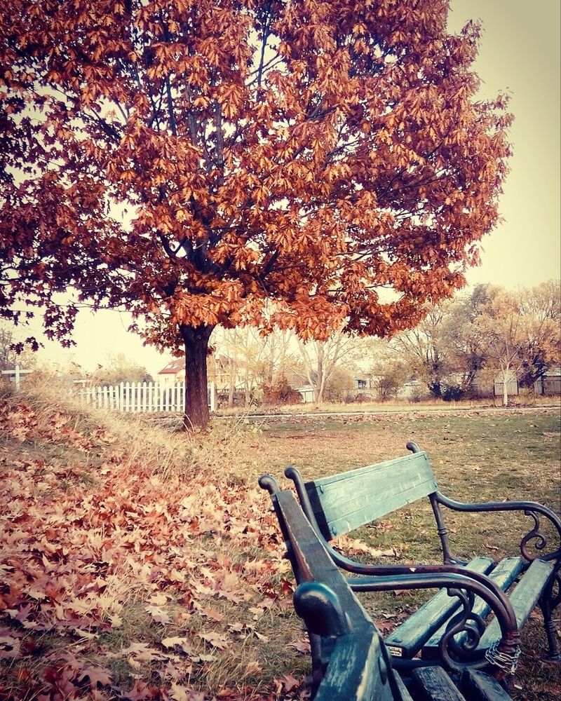 Autumn