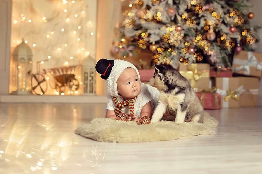 Photograph by Пугачева Ольга