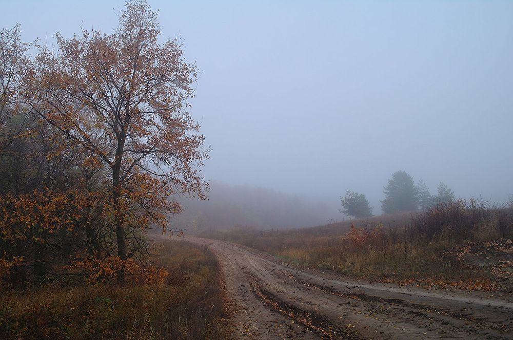 Autumn walk
