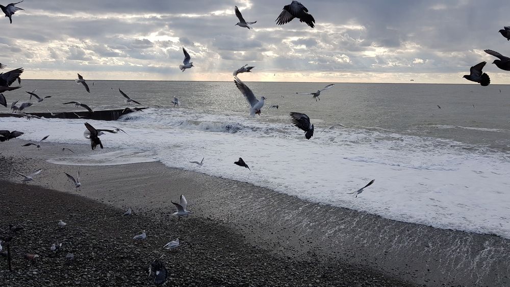 На Черном море в декабре