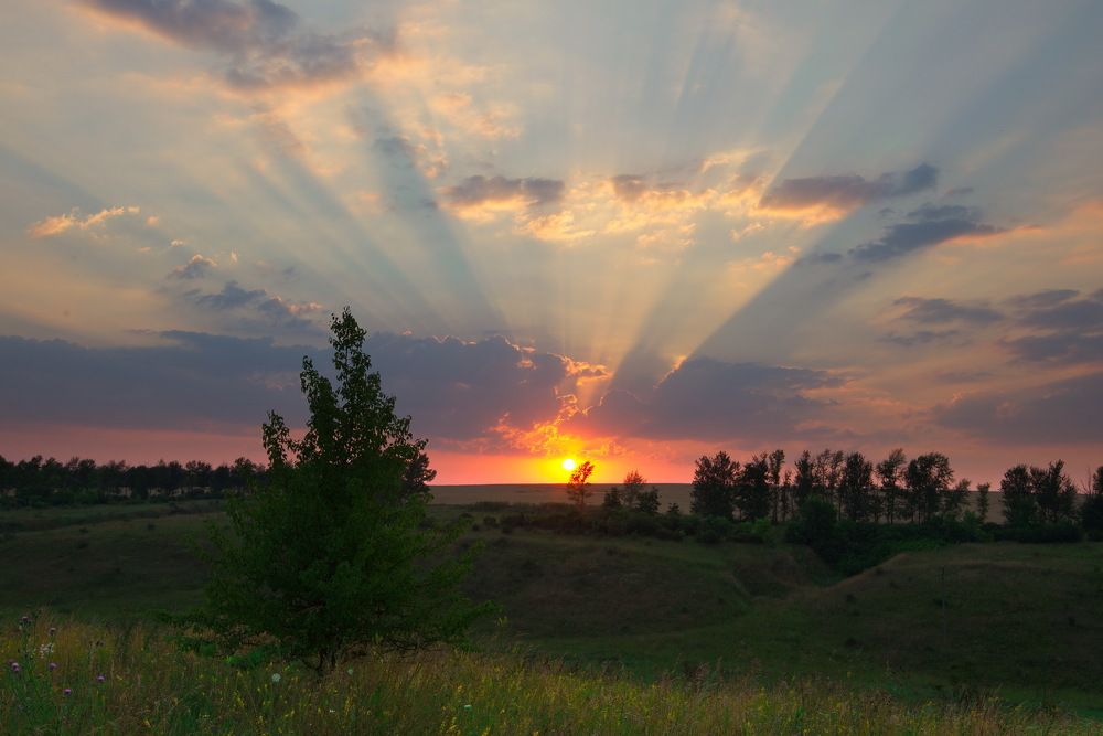 Магия Света