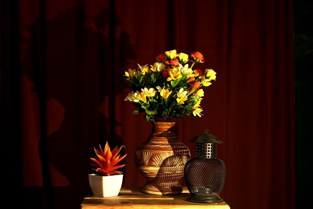 Orange and Yellow Flowers