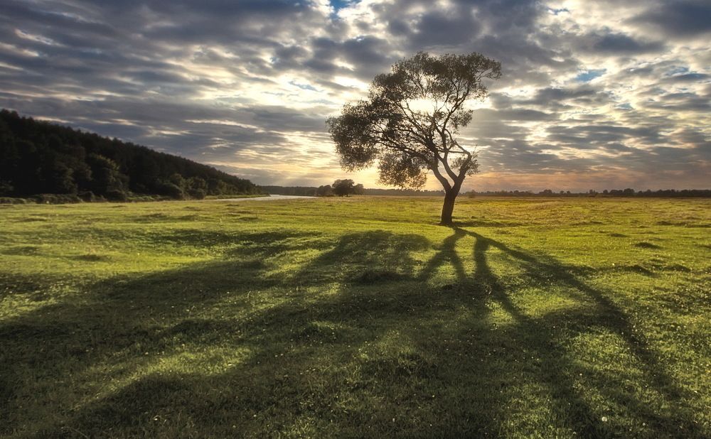 Photograph by Валерий Кондратов