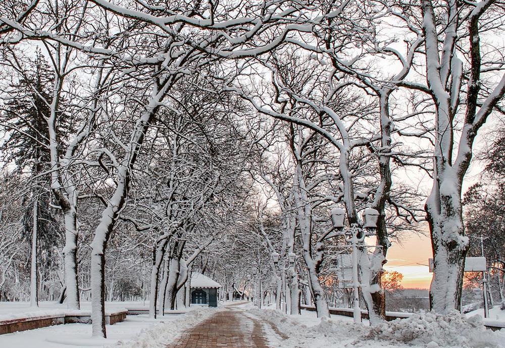 Зимнее утро