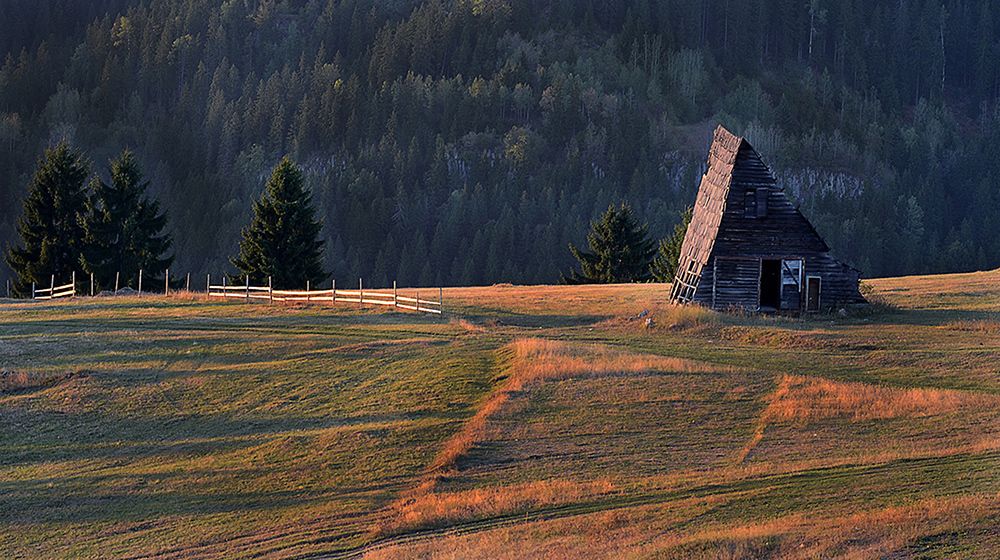 Impression from Vlasic