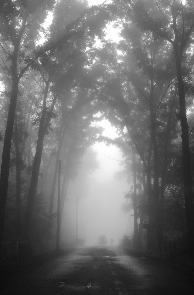 Единочество