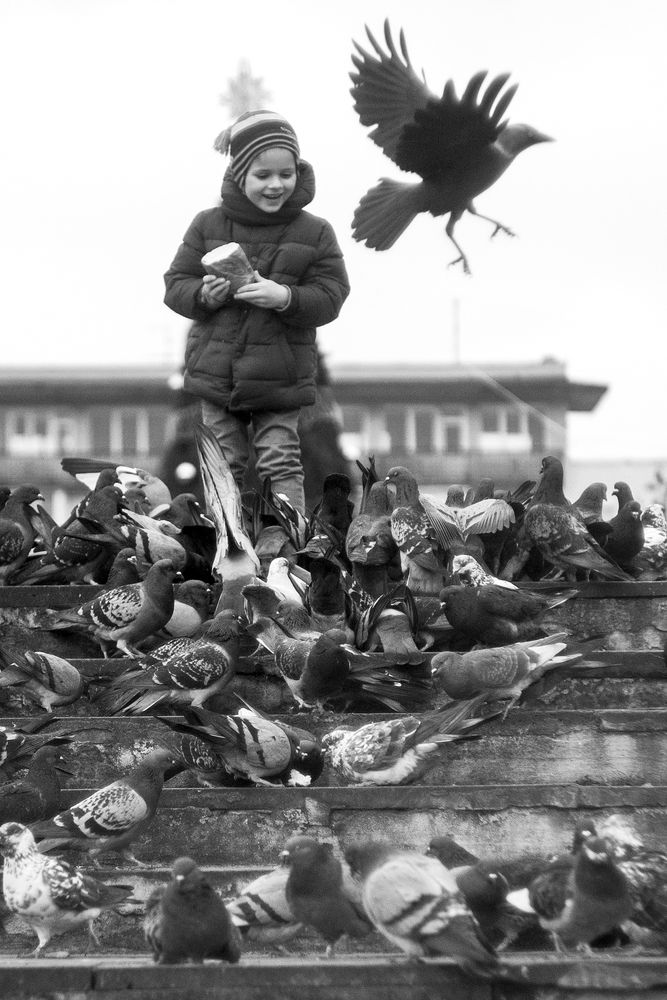 Лестница в небо