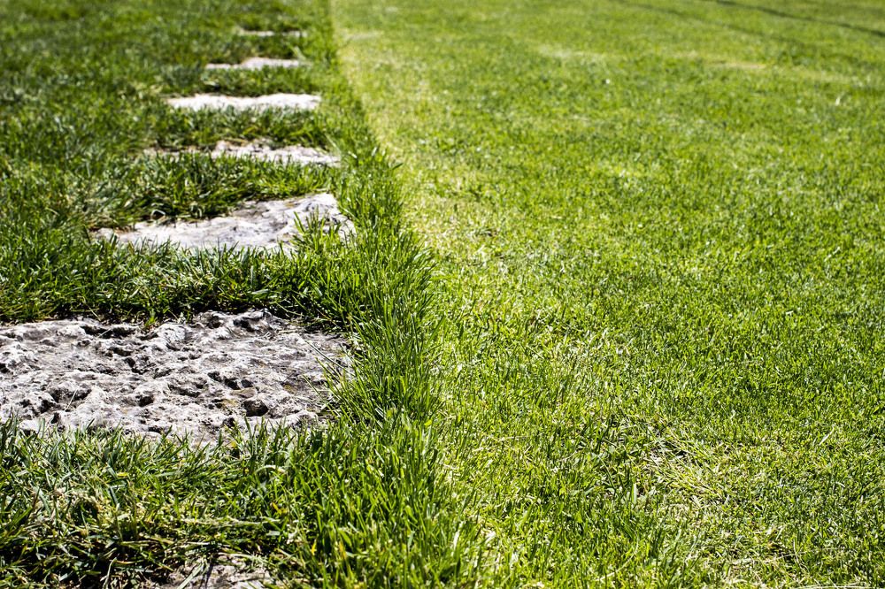 Photograph by Евгений Мериакре