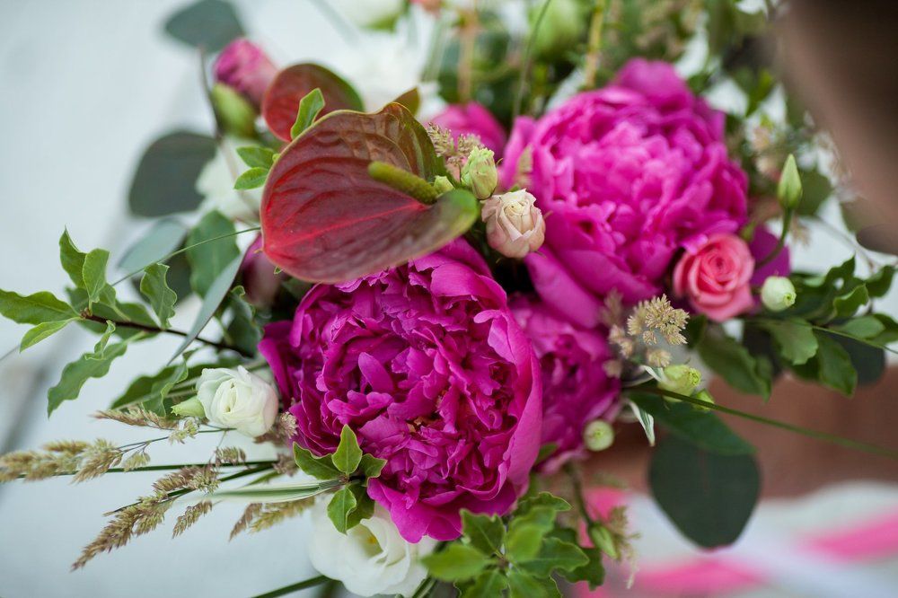 Photograph by Ирина Абрамова