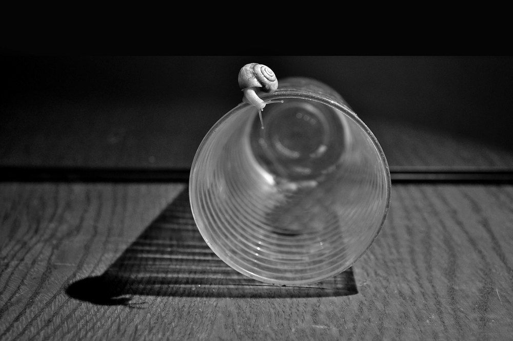 Photograph by Нелли Солодовникова