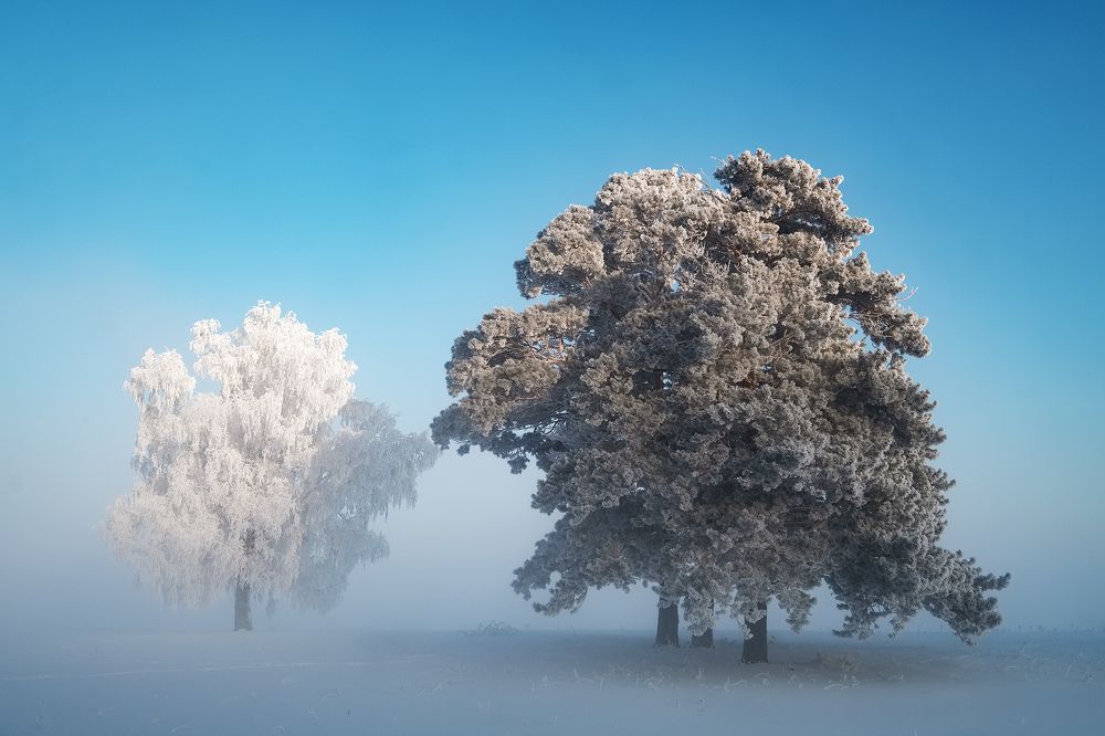 Безмолвие...