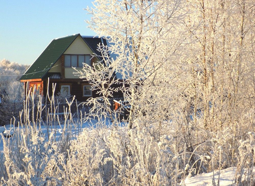 Морозный день