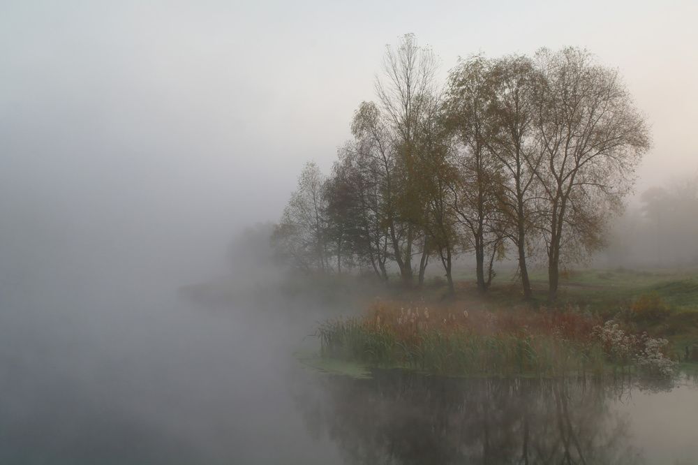 Autumn river