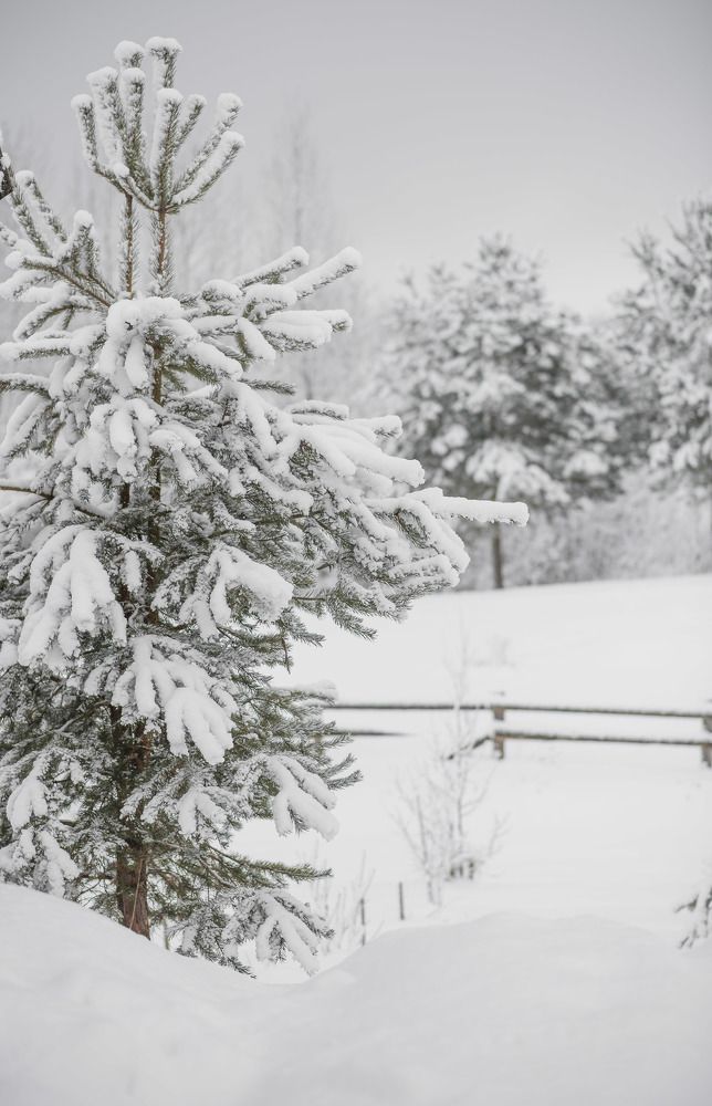 Photograph by Анна Богданова