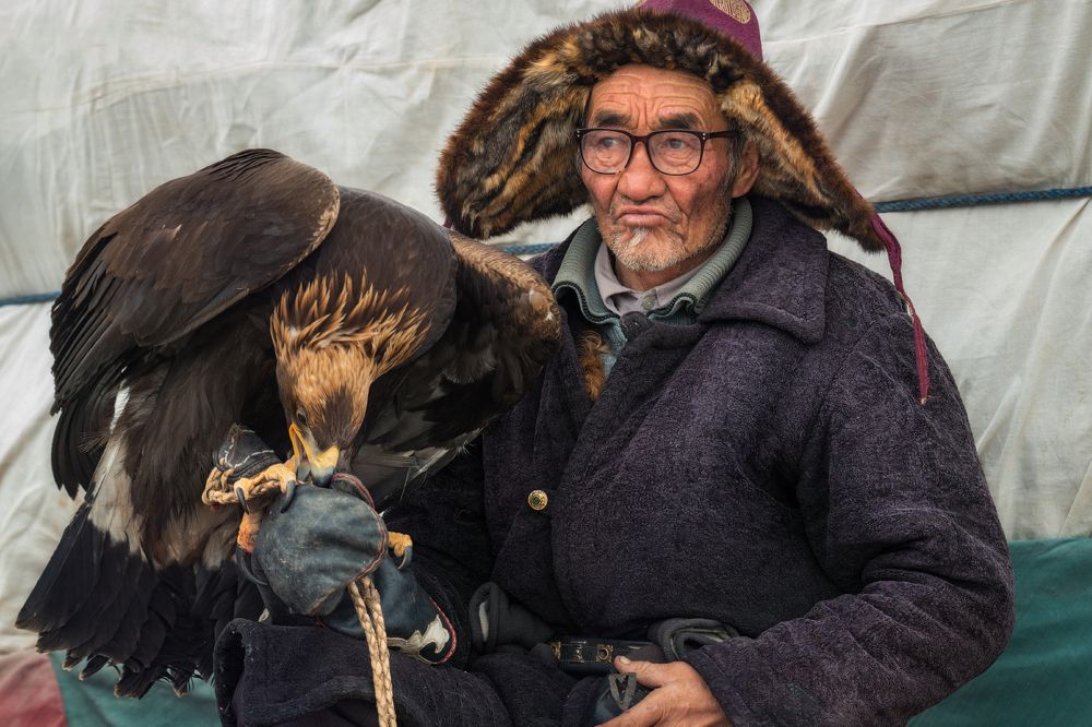 Старик и Птица