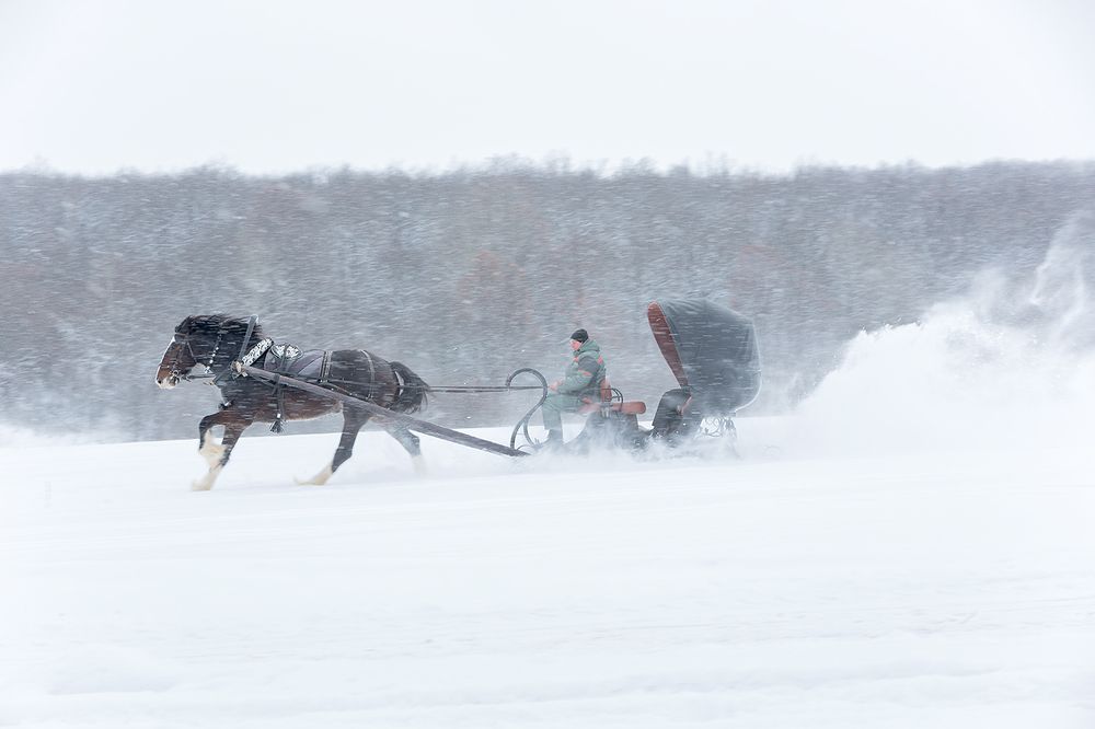 Эх, прокачу!