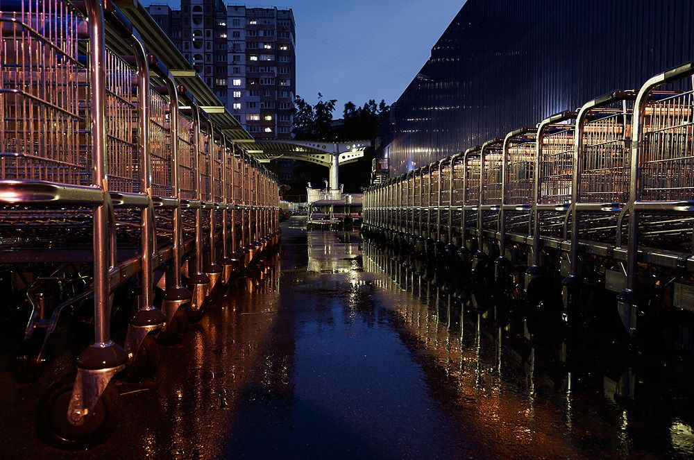 Глазами кошки