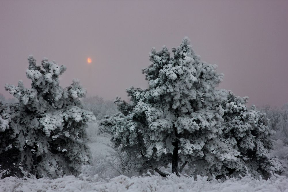 мрачное сияние